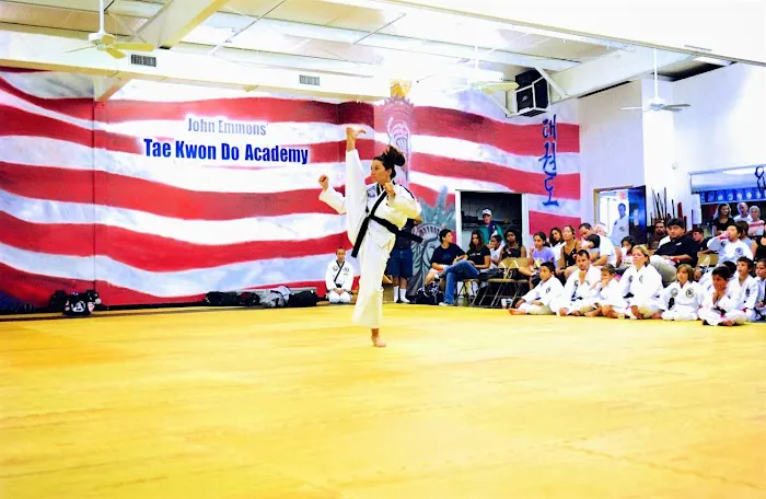 Davis Taekwondo America Picture 7