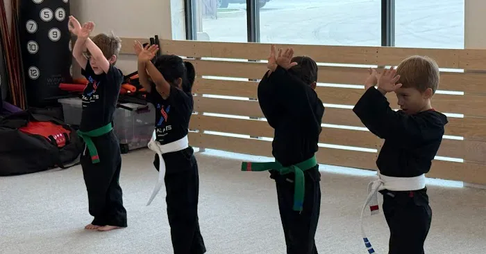 TX Martial Arts Picture 4