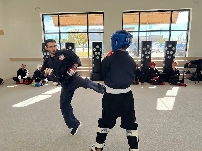 TX Martial Arts Picture 7