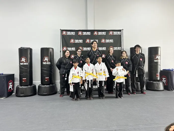 Tiger-Rock Martial Arts of Frisco-Main St Picture 2