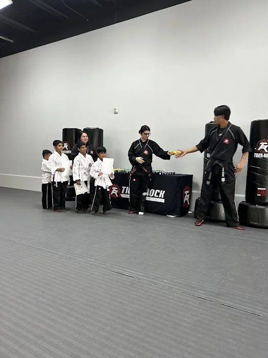 Tiger-Rock Martial Arts of Frisco-Main St Picture 3