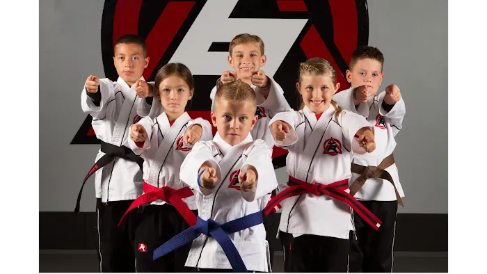 Tiger-Rock Martial Arts of Frisco-Main St Picture 10