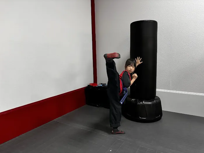 Tiger-Rock Martial Arts of Frisco-Main St Picture 6