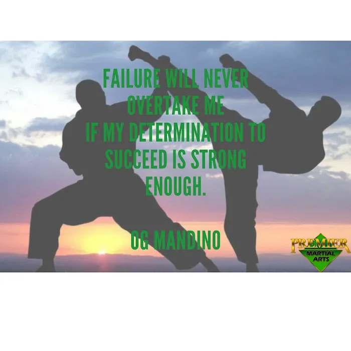 Premier Martial Arts - Frisco Picture 2