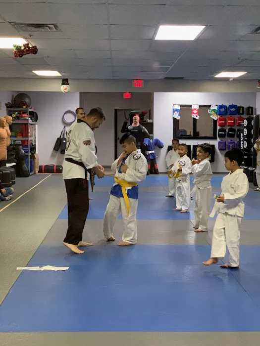 TX Black Belt Academy - Frisco Picture 5