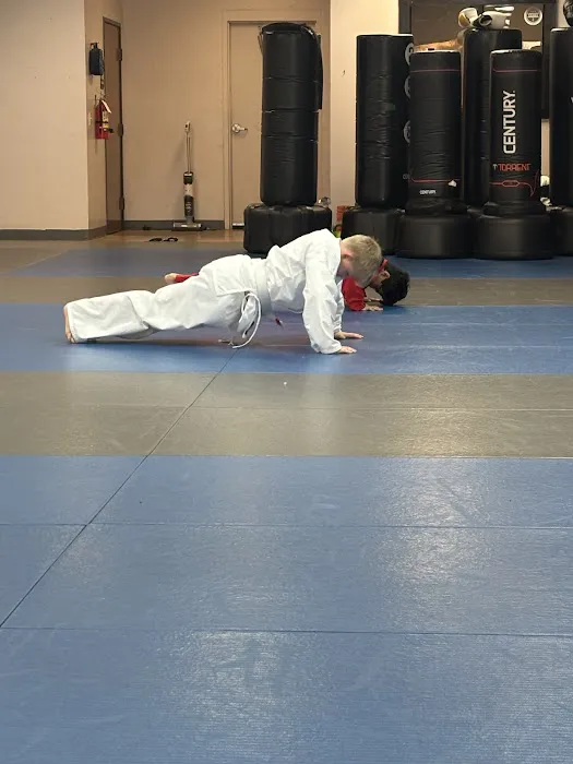 TX Black Belt Academy - Frisco Picture 8