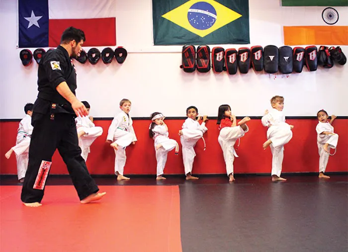 Samurai Inti Martial Arts Picture 7