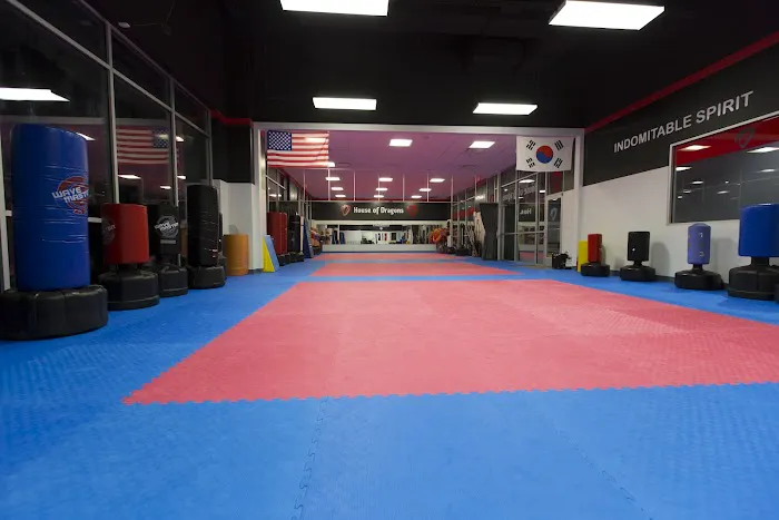 House of Dragons Taekwondo Picture 1