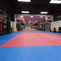 House of Dragons Taekwondo ico