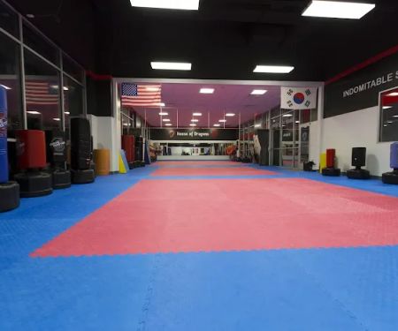 House of Dragons Taekwondo