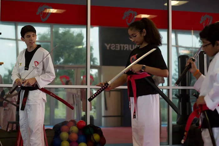 House of Dragons Taekwondo Picture 4