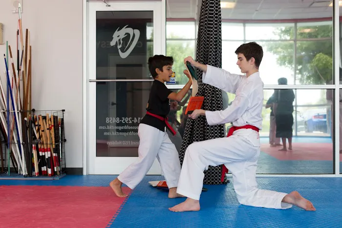 House of Dragons Taekwondo Picture 10