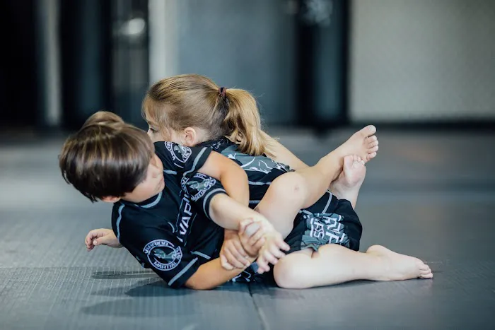 Warrior Martial Arts Academy Frisco Picture 1