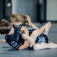 Warrior Martial Arts Academy Frisco ico