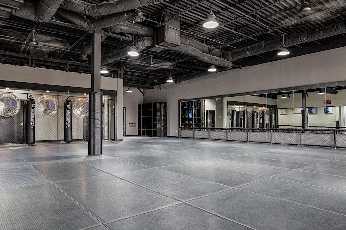 Warrior Martial Arts Academy Frisco Picture 6