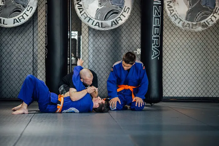 Warrior Martial Arts Academy Frisco Picture 4