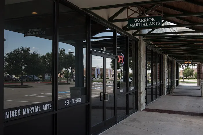 Warrior Martial Arts Academy Frisco Picture 3