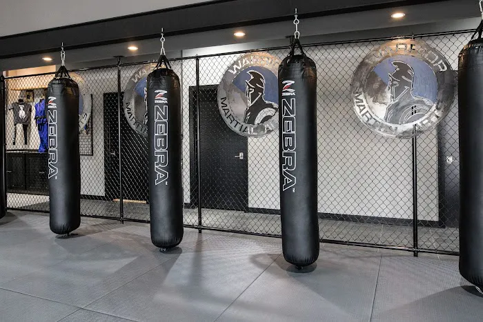 Warrior Martial Arts Academy Frisco Picture 7