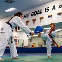 Master Park's World Champion Taekwondo ico