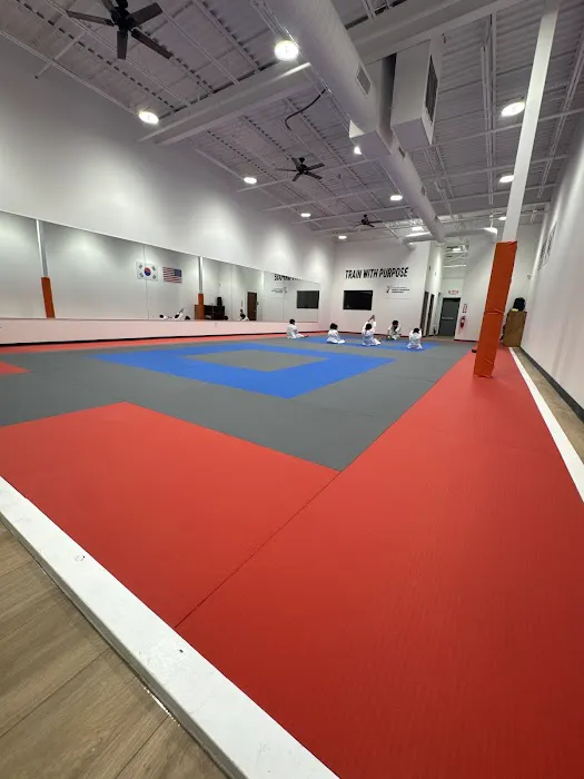 Master Park's World Champion Taekwondo Picture 5