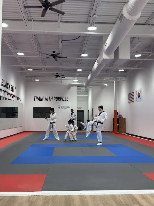 Master Park's World Champion Taekwondo Picture 9