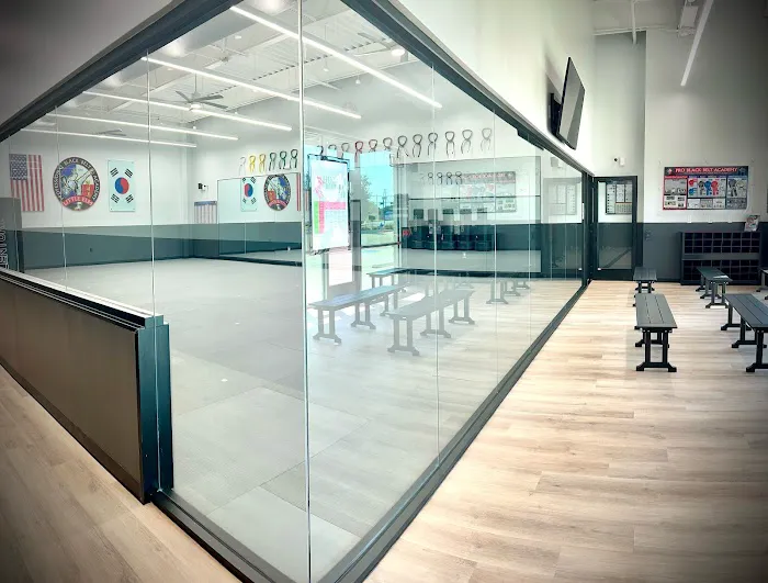 Professional Black Belt Academy Little Elm / West Frisco Picture 1