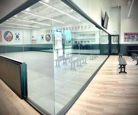 Professional Black Belt Academy Little Elm / West Frisco