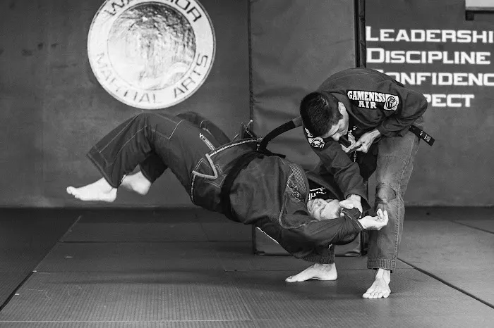 Warrior Martial Arts Academy Little Elm Picture 2