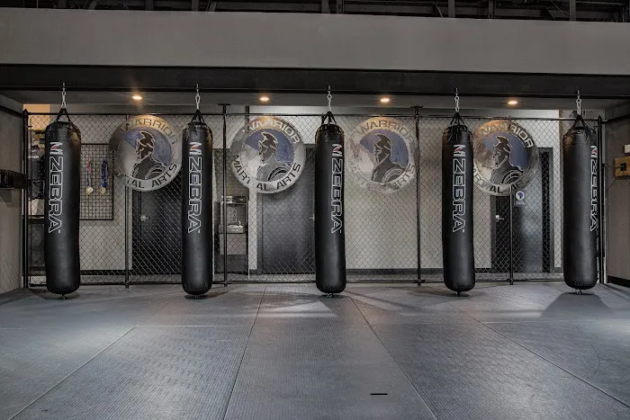 Warrior Martial Arts Academy Little Elm Picture 1