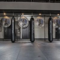 Warrior Martial Arts Academy Little Elm ico