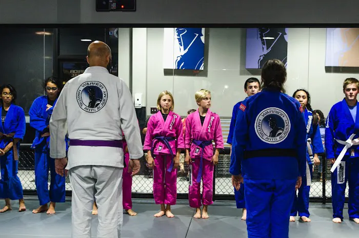 Warrior Martial Arts Academy Little Elm Picture 6