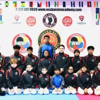 Oss karate Academy ico