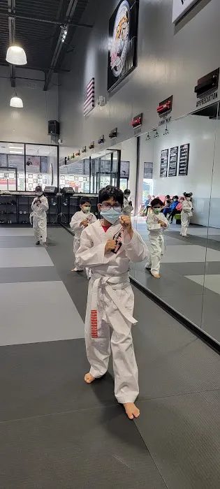TIGER SUN MARTIAL ARTS EAST FRISCO / MCKINNY KARATE TAEKWONDO Picture 2