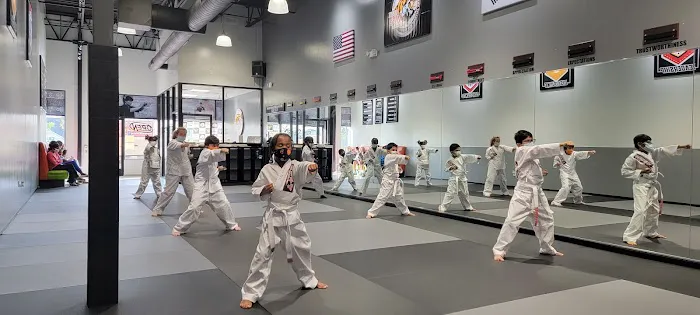 TIGER SUN MARTIAL ARTS EAST FRISCO / MCKINNY KARATE TAEKWONDO Picture 4