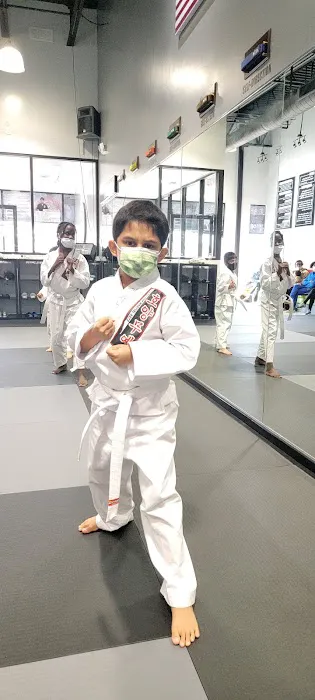 TIGER SUN MARTIAL ARTS EAST FRISCO / MCKINNY KARATE TAEKWONDO Picture 3