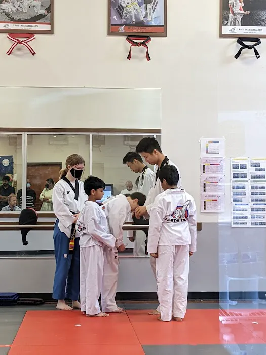 White Tiger Taekwondo Frisco/McKinney/Prosper Picture 3