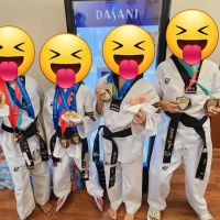 White Tiger Taekwondo Frisco/McKinney/Prosper ico