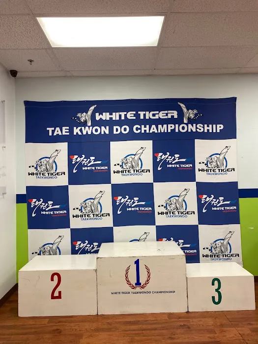 White Tiger Taekwondo Frisco/McKinney/Prosper Picture 10