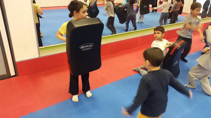 Krav Maga & Mobility for kids Picture 4