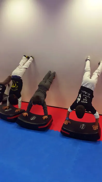 Krav Maga & Mobility for kids Picture 5