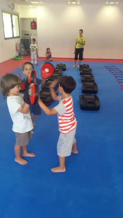 Krav Maga & Mobility for kids Picture 8