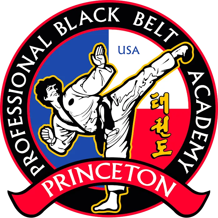 Professional Black Belt Academy - Princeton Picture 4