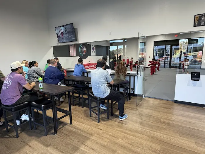 Professional Black Belt Academy - Melissa Picture 4