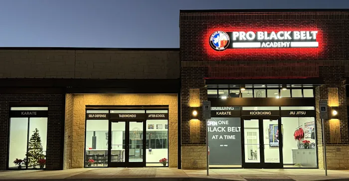 Professional Black Belt Academy - Melissa Picture 9