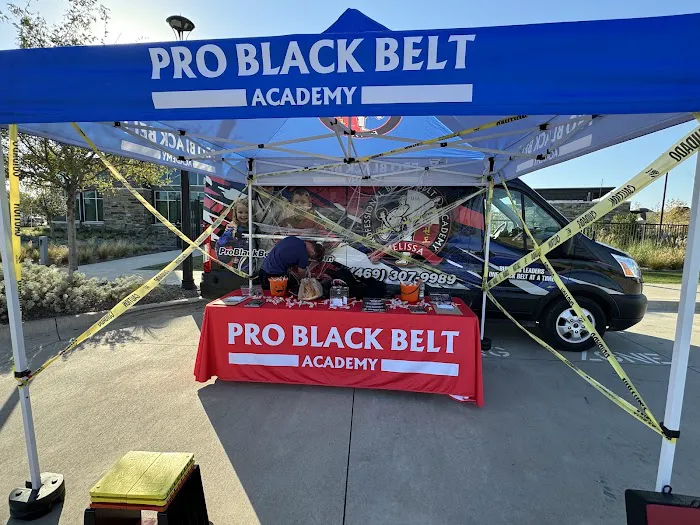 Professional Black Belt Academy - Melissa Picture 8