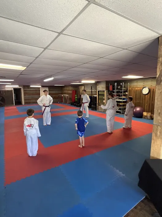 GT Sport Taekwondo Picture 1