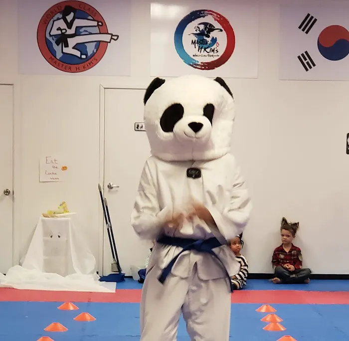 Master H Kim's World Class Tae Kwon Do Picture 5
