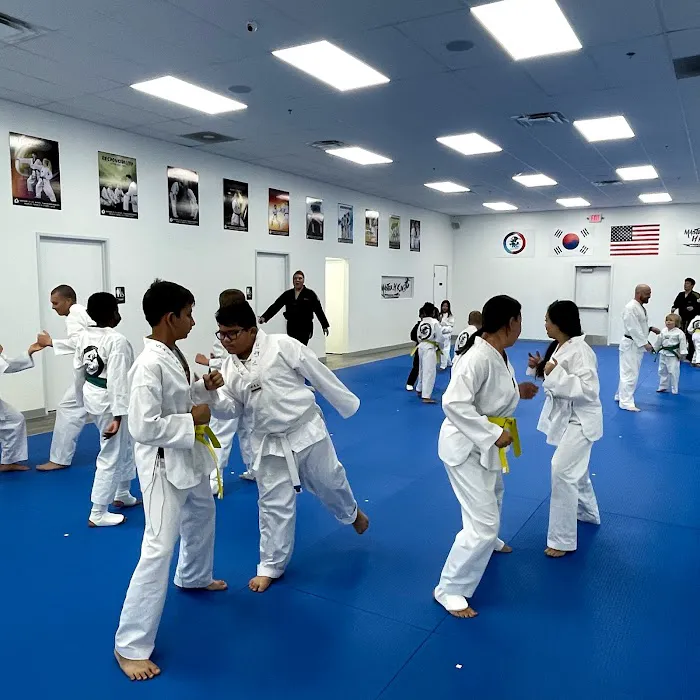 Master H Kim's World Class Tae Kwon Do Picture 10