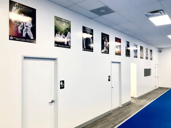 Master H Kim's World Class Tae Kwon Do Picture 9