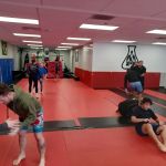 The Martial Arts Laboratory